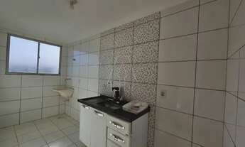 Imagem 5: Araçatuba - Apartamento - Umuarama