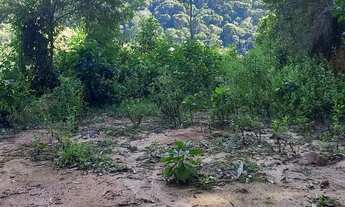 Imagem 4: Sitio Domingos Martins 100 mil