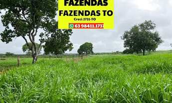 Imagem 5: Fazenda dupla aptidão região entre Paraíso e Divinópolis