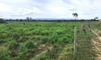Imagem 7: Fazenda de 2.414 alqueires em Flores Goias
