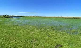 Imagem 6: Campo 62 hectares