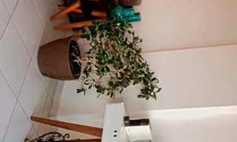 Imagem 4: Apartamento mobiliado com 03 suites em Manaira