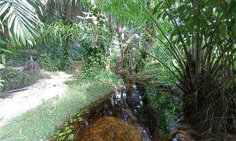 Imagem 5: Casa com bosque privativo em Busca Vida, 5 suítes, 3.000m²