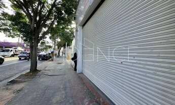 Imagem 3: SALÃO COMERCIAL NA VILA CARRÃO