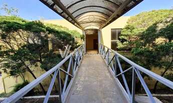 Imagem 7: Galpão - Jardim das Bandeiras - Campinas