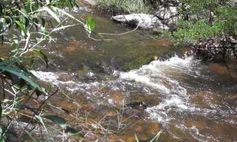 Imagem 4: Terreno rural 36.000m², rios nos fundos, muito verde, Serra do Cipó (Temos varias opções)