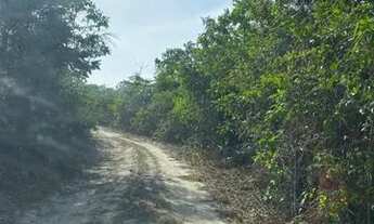 Imagem 4: Propriedade rural em Alcântara/MA