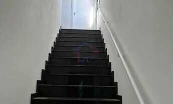 Imagem 6: PALHOçA - Padrão - Pagani