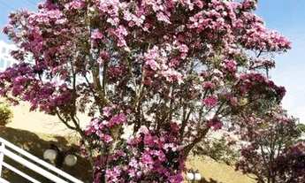 Imagem 2: Sobrado para venda possui 312 metros quadrados com 3 quartos em FE - Bom Jesus dos Perdões