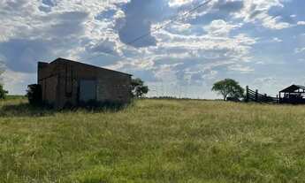 Imagem 7: Excelente oportunidade de Negócio Rural