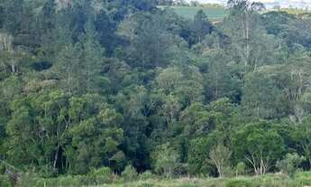 Imagem 3: Natureza e conforto: lote 500m² em condomínio fechado!