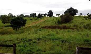 Imagem 4: Fazenda 45 alqueires, Jussara