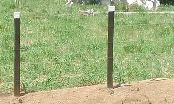 Imagem 2: Fazenda Ubaíra Bahia 638 Tarefas - Rio Nascentes Riacho Reg. Santo Antônio de Jesus Oportu