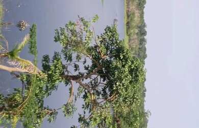 Imagem 7: Vendo ou troco por casa