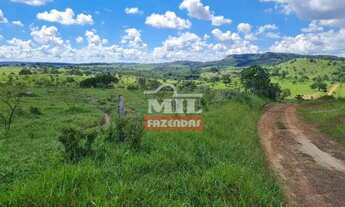 Imagem 4: Fazenda 414 alqueires (2.007 hectares) Caiapônia - Go