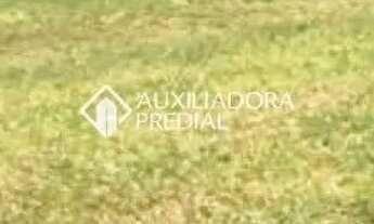 Imagem 11: Propriedade Rural no bairro Vila Seca