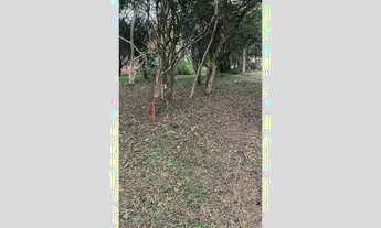 Imagem 3: CMCF 2 Lote 612651033-85