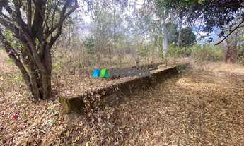 Imagem 5: FAZENDA À VENDA - 490 HECTARES - CORINTO (MG