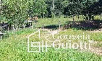 Imagem 6: Chácara em Abadiânia: 1 Alqueire , variedades de árvores frutíferas, 2 poços artesianos e