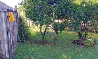 Imagem 4: Grande Terreno 16x40 no Piratini Oportunidade para Construtores