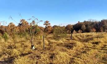 Imagem 4: Chácara com 1 dormitório à venda, 21600 m² por R$ 368.000,00 - Uberlândia - Prata - Uberlâ