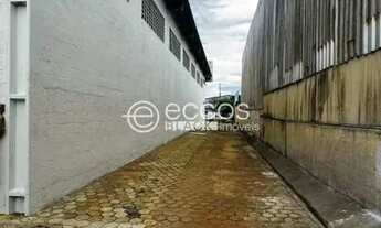 Imagem 6: Galpão para aluguel, Distrito Industrial - Uberlândia/MG