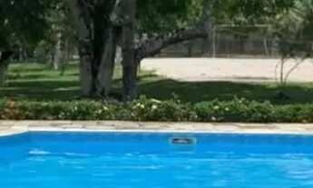 Imagem: Sítio 5.000m² Seu paraíso te espera!