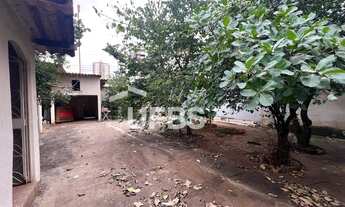 Imagem 4: Lote comercial/residencial de 484 metros no Setor Pedro