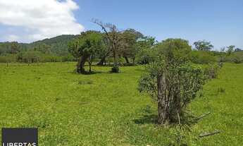 Imagem 5: Sitio com 13 mil metros com casa !