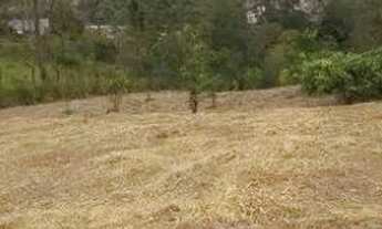 Imagem 4: Terreno à venda, 27000 m² por R$ 3.000.000,00 - Quarta Divisão - Ribeirão Pires/SP