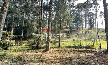 Imagem 5: Chácara em Estrada da Carapina - Vale do Carapina - São Francisco de Paula/RS