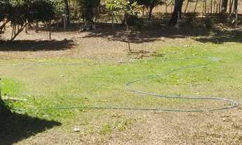 Imagem: Sítio 7 Alqueires, Brejão