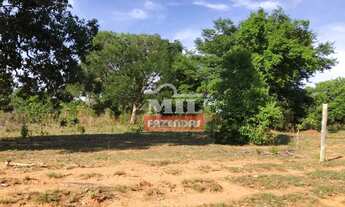 Imagem 3: Fazenda 250 alqueires (1.210 hectares) Trombas - Go