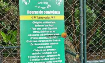 Imagem 6: Apartamento com 2 dormitórios para alugar, 55 m² por R$ 2.836,63/mês - Piratininga - Niter