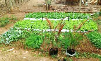 Imagem 4: Chácara 5.000 mts² em condomínio na Região da Fazenda Vargem Bonita, Bela Vista de Goiás
