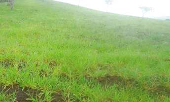 Imagem: Fazenda Ubaíra Bahia 638 Tarefas - Rio