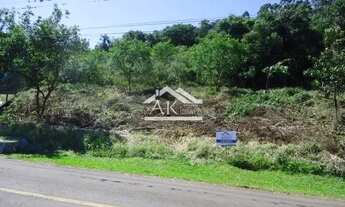 Imagem 5: Terreno amplo e arborizado a venda em Picada Café, na Serra Gaúcha