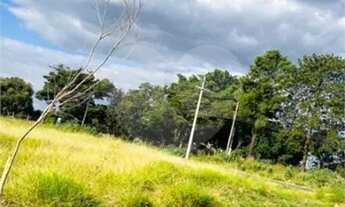 Imagem 7: Loteamento à venda em Loteamento Jardim Vista Alegre - SP