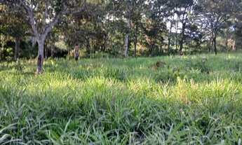 Imagem 7: Sítio 49 hectares