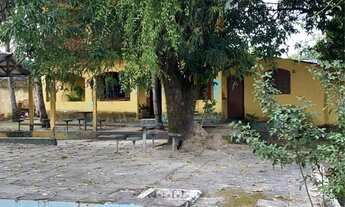 Imagem 2: Vendo mini Sítio !