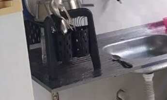 Imagem 5: Vendo casa na região do parque sul