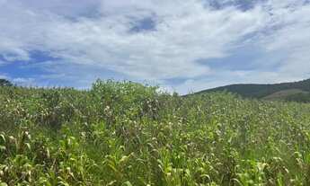 Imagem: Terreno Residencial à Venda em Ibiúna