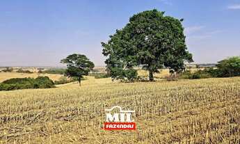 Imagem 3: Chácara bem localizada e com grande potencial de produção