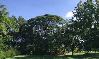 Imagem 3: Terreno à venda com 4000 m² no Sítios de Recreio Gramado, em Campinas