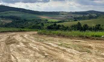 Imagem 2: 85C- VENHA PARA COTIA - LOTES ESPECIAIS