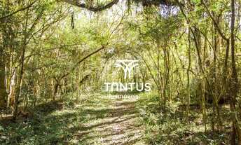 Imagem 7: Chácara à venda, 97074 m² por R$ 1.750.000,00 - Weissópolis - Pinhais/PR