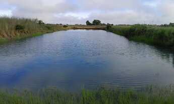 Imagem 3: Vendo ou troco Chácara com venda por R$420.000