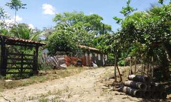 Imagem 6: Fazenda Fazenda / sítio com venda por R$300.000