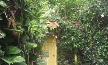 Imagem 7: Terreno Ilha Grande