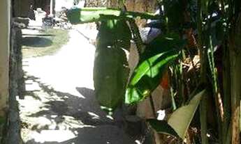 Imagem 4: Alugo Imóvel Amplo! Leia Todo o anúncio!